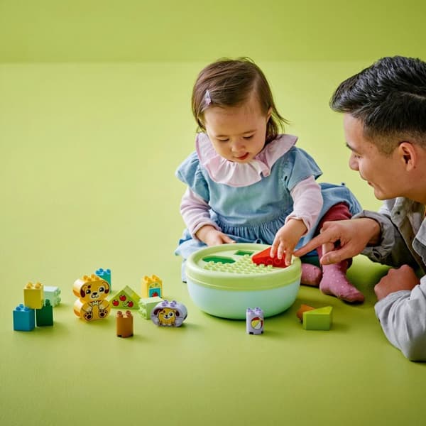 LEGO DUPLO Formsorterare: valphus 10441