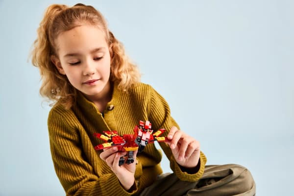 Fawkes™: Dumbledores fenixfågel LEGO® Harry Potter™ (76448)