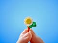 Miniatyrbilde 3 av 4: Kafé med blomsterbutikk LEGO® Friends (42671)