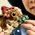 Miniatyrbild 4 av 6: LEGO Jurassic World Dinosaurieungen Dolores aquilops 76970
