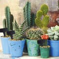 Miniatyrbillede 3 af 4: Planteskilte, 120 stk, vandtætte sorte plastetiketter til frøplanter, T-stake-etiketter, udendørs markører til havepotter