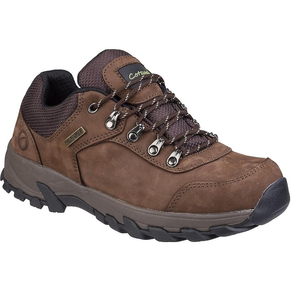 Cotswold Hawling Lace Up Walking Shoe för män