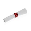 Miniatyrbillede 2 af 2: Servietring Versa Rød polypropylen 4,7 x 3,2 x 4,7 cm 4 Dele