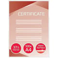 Miniatyrbild 2 av 2: Dokumentfickor - GBC - 3745103 - A4 - 200 enheter - 2 x 38 mikron - Blank