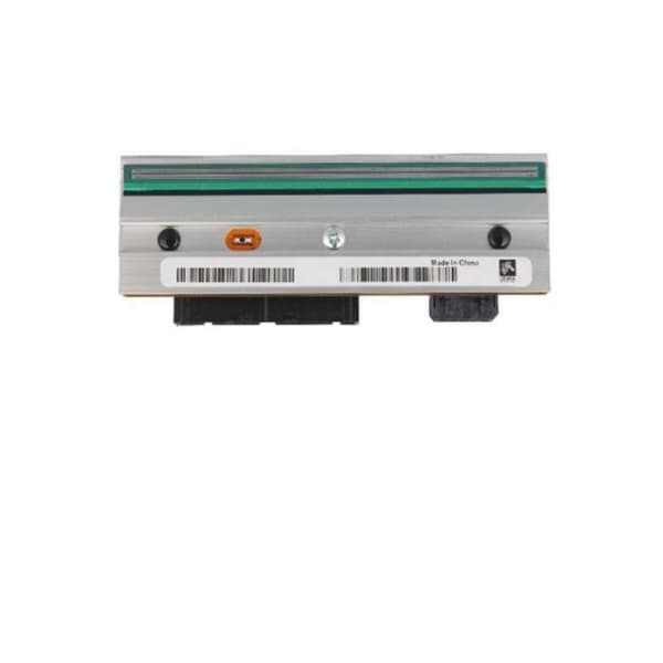 Kannet Zebra P1058930-012