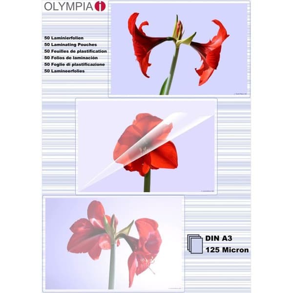 Olympia Hot Laminator Lakan