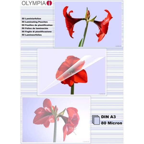 Olympia Hot Laminator Lakan