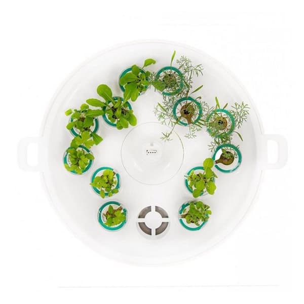 Plantui Booster Tray valkoinen