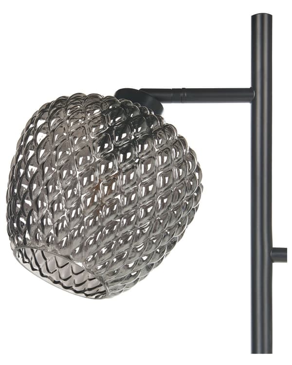 Golvlampa Grå och svart järnbas Rökta glasskärmar 2 belysningspunkter Heminredningstillbehör Belysning