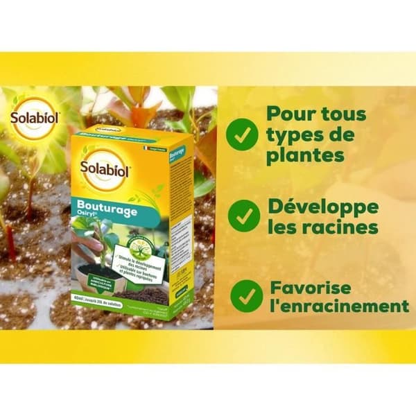 SOLABIOL SOBOUTU40 Osirylskärning - 40 ml