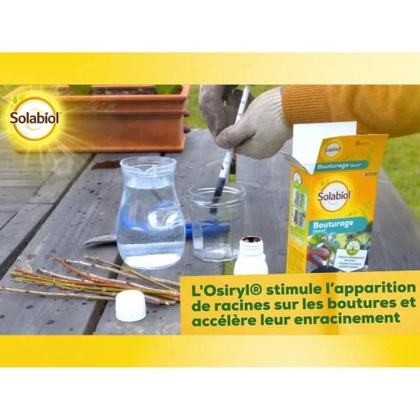 SOLABIOL SOBOUTU40 Osirylskärning - 40 ml