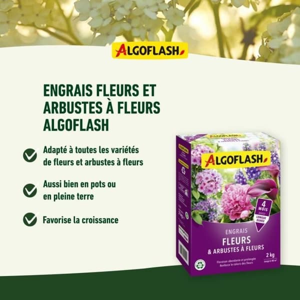 Blommor och blommor gödselmedel - Algoflash Naturasol - 2 kg