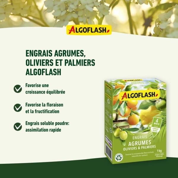 Citrus gödselmedel, olivers och palmer - Algoflash naturasol - 1 kg