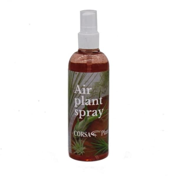 Tillandsia gödsel - färdig att blanda i sprayflaskan - 150ml