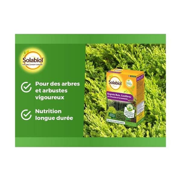 SOLABIOL SOCONY15 Gödselmedel för barrträd och prydnadsbuskar 100 % ekologiskt | Långvarig verkan, 1,5 kg