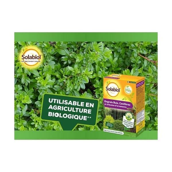SOLABIOL SOCONY15 Gödselmedel för barrträd och prydnadsbuskar 100 % ekologiskt | Långvarig verkan, 1,5 kg