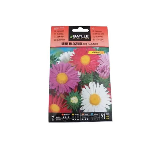 Batelle. Blanda stora ettåriga blommor.