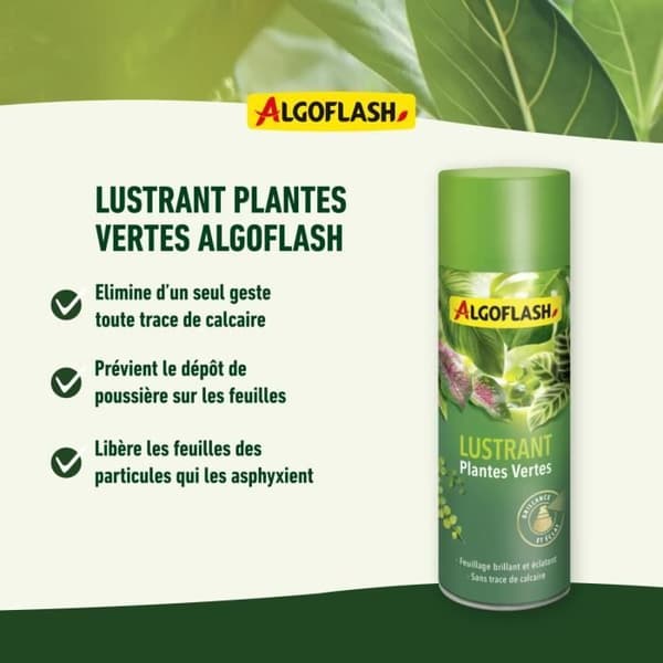 ALGOFLASH - Gröna växter Glans 250 mL