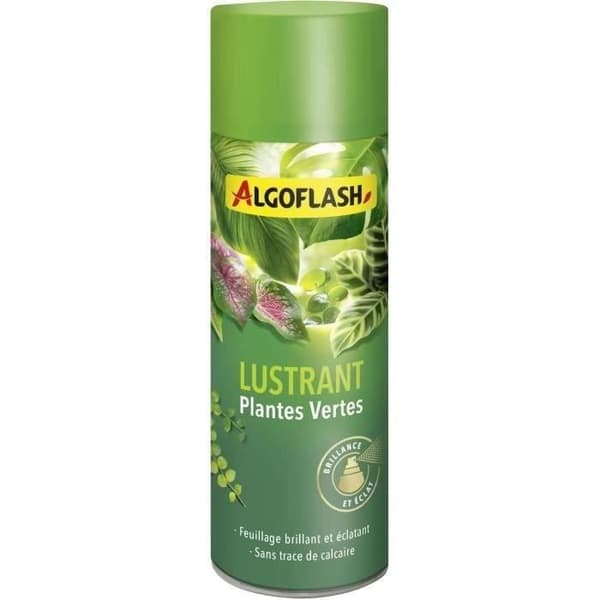 ALGOFLASH - Gröna växter Glans 250 mL