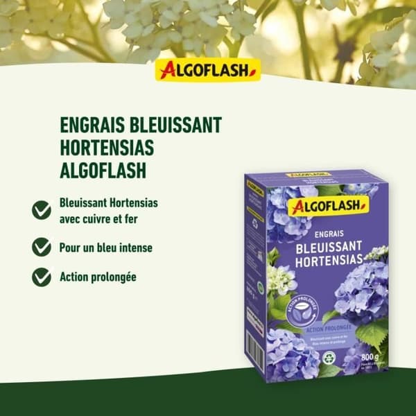 BLÅ HYDENSIASE MESTILISERENDE - ALGOFLASH NATURASOL NATURASOL - Forlænget virkning 800G