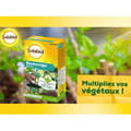 Miniatyrbillede 3 af 6: SOLABIOL SOBOUTU40 stiklinger Osiryl - 40 ml