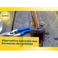 Miniatyrbillede 6 af 6: SOLABIOL SOBOUTU40 stiklinger Osiryl - 40 ml