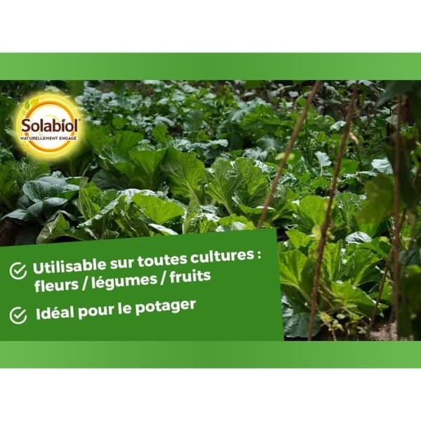 Sininen lannoite - SOLABIOL - SOBLEU4 - 4 kg