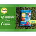 Pikkukuva 5 / 5: Sininen lannoite - SOLABIOL - SOBLEU4 - 4 kg