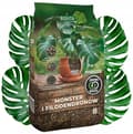 Miniatyrbillede 1 af 2: Monstera og Philodendron Jord Bigos 8L Professionelt Substrat
