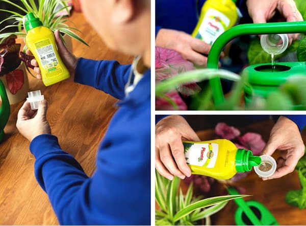 Gödselmedel för surfinior och petunior 0,4 l Intensiv och lång blomning