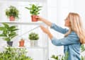 Miniatyrbild 3 av 4: Biohumusgödsel för blommor och gröna växter 1 l