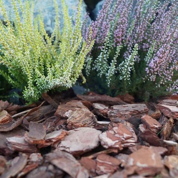 Finprimer för trädgårdsbruk för tallbark 50L 0-10mm
