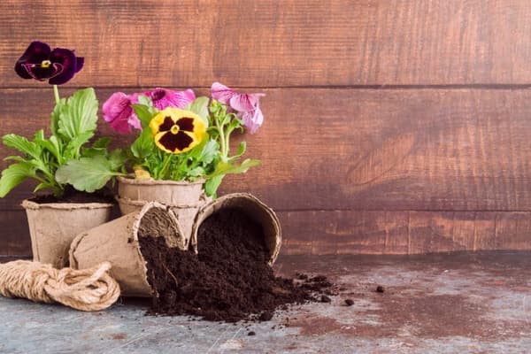 Trädgårdsjord för blommor universal 80l