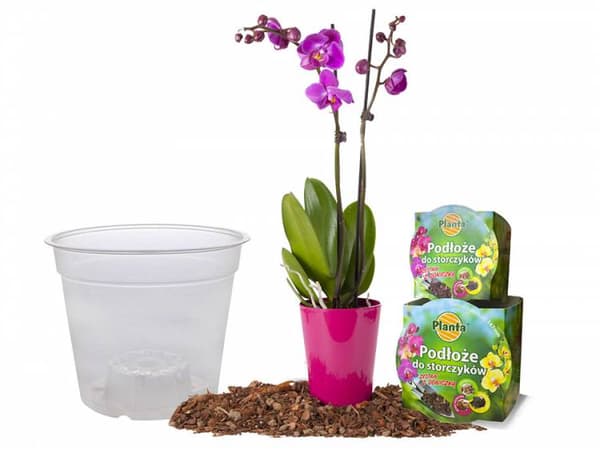 Orkidéjordset med kruka 1,1 L