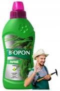 Miniatyrbild 1 av 2: Biopon Gödselmedel för ormbunkar 0,5L Specialiserat preparat för skötsel av ormbunkar