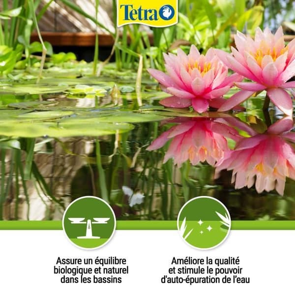 Tetra Pond Water Balance (Innehåller: 500 ML
