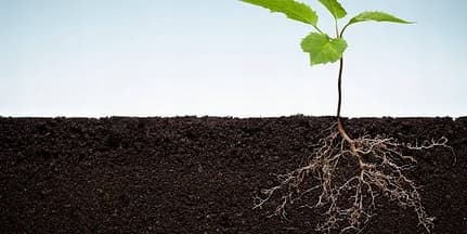 SUMIN MULTIROOTS ROOTING 20ml
