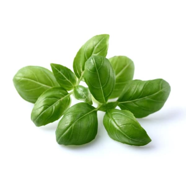 Click and Grow - Smart Garden Refill 3-pack - Basil (SG-010)