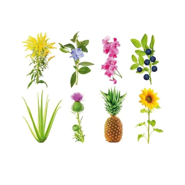 Click and Grow - Smart Garden Refill 3-pack - Experimental (SG-014)
