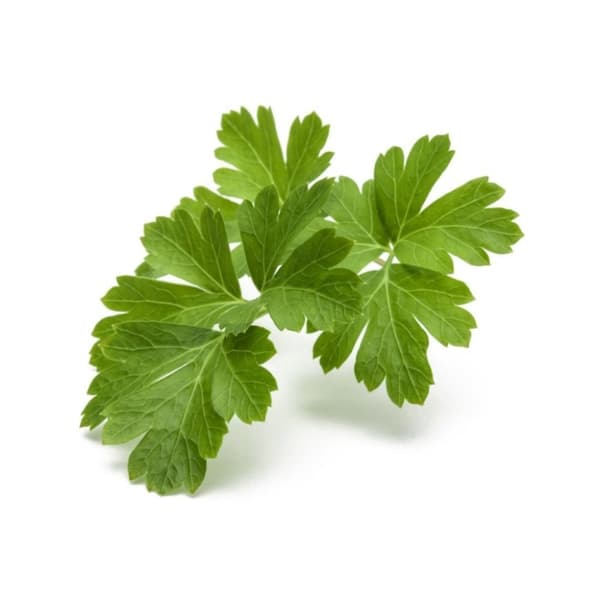 Click and Grow - Smart Garden Refill 3-pack - Parsley (SG-011)