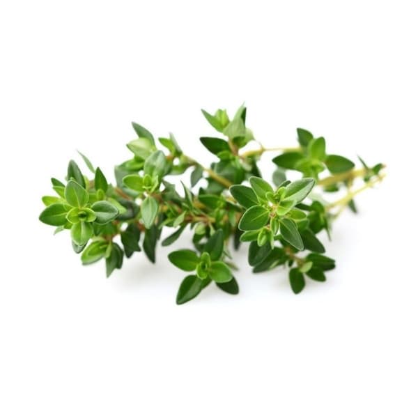 Click and Grow - Smart Garden Refill 3-pack - Thyme (SG-008)