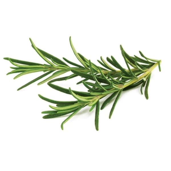 Click and Grow - Smart Garden Refill 3-pack - Rosemary (SG-022)