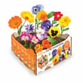 Miniatyrbillede 1 af 2: Voksesæt til spiselige blomster 19 x 19 x 10 cm - Perfekt til dyrkning af spiselige blomster, kompakt og nemt at bruge.