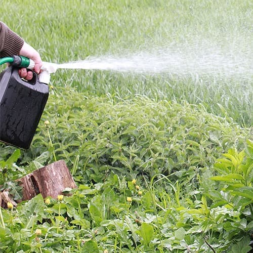 Ejektorspridare 2,5 L-spädning 1:20-för järnsulfat och gödning med ...