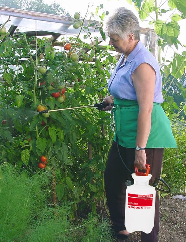 Birchmeier Tryckspruta - Garden Star 3