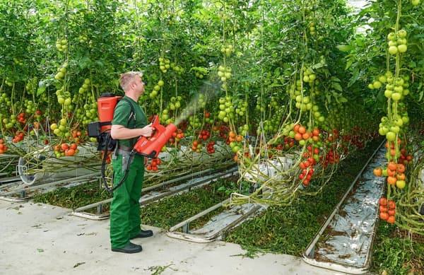 Birchmeier Fläktspruta - AS 1200 AC1