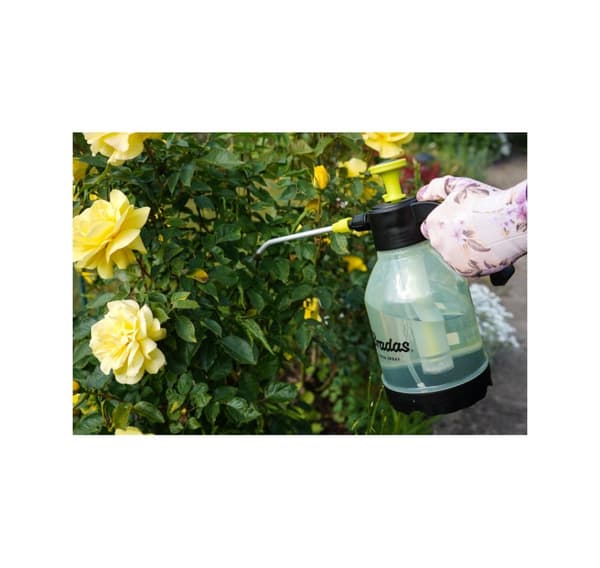 Tryckspruta "AQUA SPRAY CLEAR" 2l