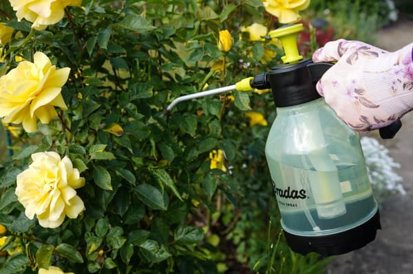 MANUEL SPRØJTE "AQUA SPRAY" 2,0l KLAR