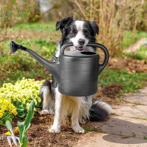 Klassisk havevandkande, målebæger, si til vanding, drys af planter, blomster, lys, 10 l