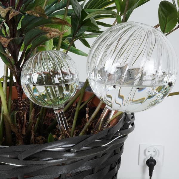 Vattningskulor för växter, glas, 2 st.